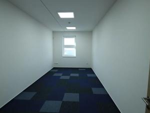 Pronájem kanceláře, Sedliště, 293 m2