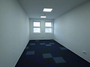 Pronájem kanceláře, Sedliště, 293 m2