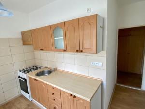 Pronájem bytu 1+1, Habartov, Karla Čapka, 36 m2