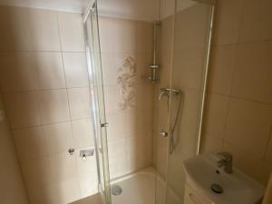 Pronájem bytu 1+1, Habartov, Karla Čapka, 36 m2