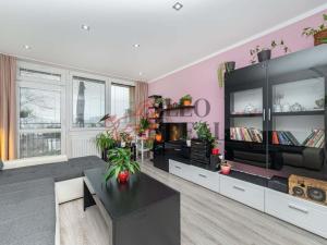 Prodej bytu 2+1, Český Těšín, Úvoz, 52 m2