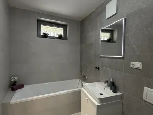 Pronájem bytu 2+kk, Brno, Řepova, 56 m2