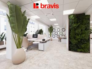 Pronájem kanceláře, Brno, Masarykova, 506 m2