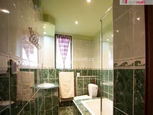 Pronájem bytu 5+kk, Sezimovo Ústí, Šafaříkova, 107 m2