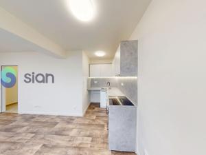 Pronájem bytu 1+kk, Frýdek-Místek, Janáčkova, 25 m2