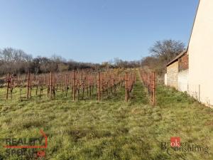 Prodej zahrady, 201 m2