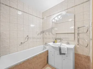 Prodej bytu 3+kk, Praha - Žižkov, Přemyslovská, 76 m2