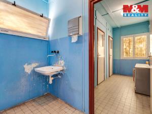 Prodej obchodního prostoru, Příbram - Příbram I, Gen. R. Tesaříka, 511 m2