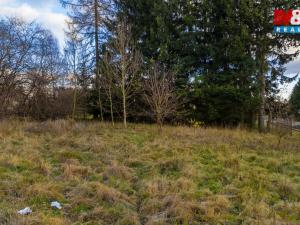 Prodej pozemku pro bydlení, Rumburk - Rumburk 3-Dolní Křečany, 5299 m2