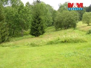 Prodej zahrady, Benecko, 4214 m2