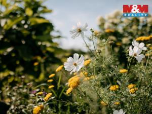 Prodej pozemku pro bydlení, Sušice, 4292 m2