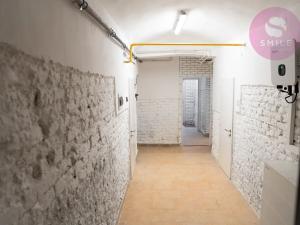 Pronájem obchodního prostoru, Ostrava, Hladnovská, 250 m2