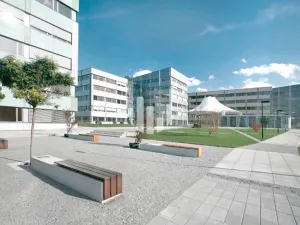 Pronájem kanceláře, Ostrava, Hornopolní, 616 m2