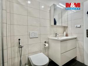 Pronájem bytu 2+kk, Kolín - Kolín II, Kmochova, 62 m2
