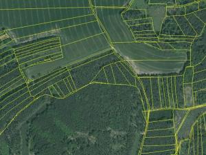 Dražba lesa, Blížejov, 16569 m2