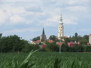 Dražba pole, Tovačov, 903 m2