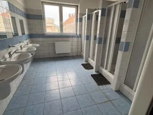 Dražba výrobních prostor, Chrast, Osady Ležáků, 4782 m2