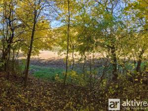 Prodej zahrady, Brno, Jámy, 2116 m2