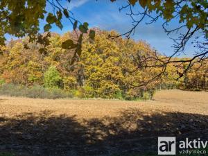 Prodej zahrady, Brno, Jámy, 2116 m2