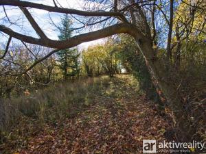 Prodej zahrady, Brno, Jámy, 2116 m2