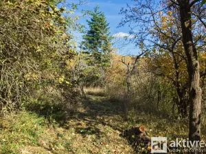 Prodej zahrady, Brno, Jámy, 2116 m2