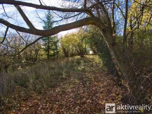 Prodej zahrady, Brno, Jámy, 2116 m2