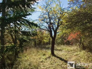 Prodej zahrady, Brno, Jámy, 2116 m2