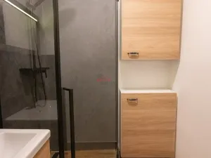 Pronájem bytu 2+1, Ostrava, Švédská, 57 m2