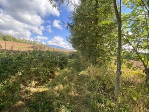 Prodej pozemku, Lánov - Horní Lánov, 4009 m2