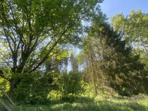 Prodej lesa, Kropáčova Vrutice - Sušno, 15167 m2