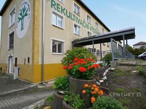 Pronájem bytu 1+1, Most, Antonína Dvořáka, 29 m2