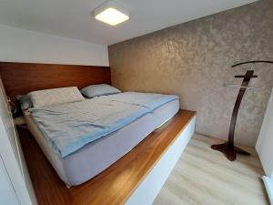 Prodej bytu 2+kk, Brno, Veslařská, 62 m2