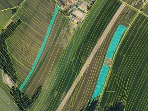 Prodej pole, Maršov, 31902 m2