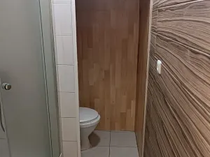 Prodej bytu 1+1, Chomutov, Kyjická, 36 m2