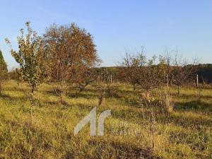 Prodej pozemku pro bydlení, Kopidlno, 3571 m2