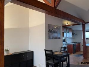 Pronájem bytu 1+kk, Brno - Veveří, Gorkého, 61 m2