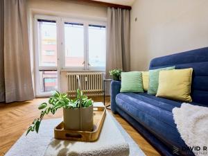 Prodej bytu 2+1, Brno - Královo Pole, Palackého třída, 62 m2