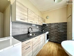 Pronájem bytu 2+1, Teplice, Libušina, 54 m2