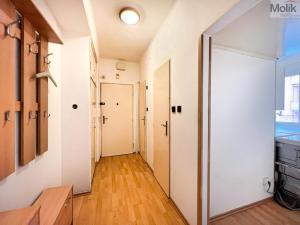 Pronájem bytu 2+1, Teplice, Libušina, 54 m2