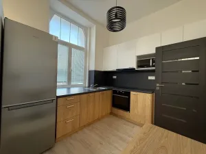 Pronájem bytu 1+kk, Ústí nad Labem - Střekov, Žukovova, 32 m2