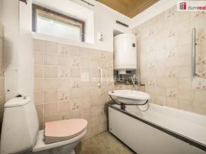 Prodej chaty, Třebušín - Řepčice, 100 m2