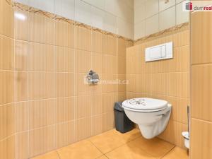 Prodej rodinného domu, Chlum u Třeboně, Chelčického, 570 m2