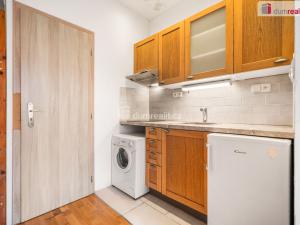 Prodej bytu 1+kk, Praha - Žižkov, Milíčova, 19 m2