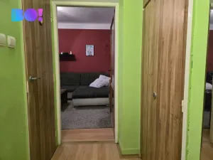 Prodej bytu 1+1, Havířov, Družstevnická, 40 m2