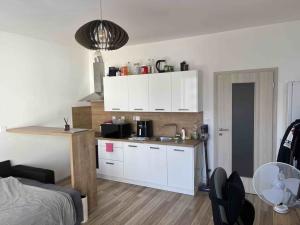 Pronájem bytu 1+kk, České Budějovice - České Budějovice 2, Volejbalistů, 28 m2