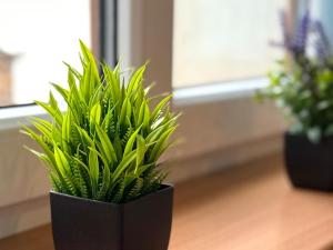 Pronájem atypického bytu, Strmilov - Česká Olešná, 100 m2