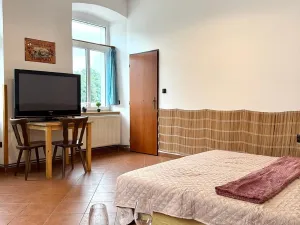 Pronájem atypického bytu, Strmilov - Česká Olešná, 100 m2