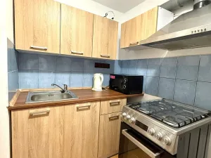 Pronájem atypického bytu, Strmilov - Česká Olešná, 100 m2