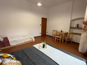 Pronájem atypického bytu, Strmilov - Česká Olešná, 100 m2