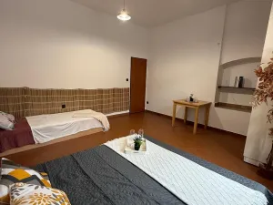 Pronájem atypického bytu, Strmilov - Česká Olešná, 100 m2